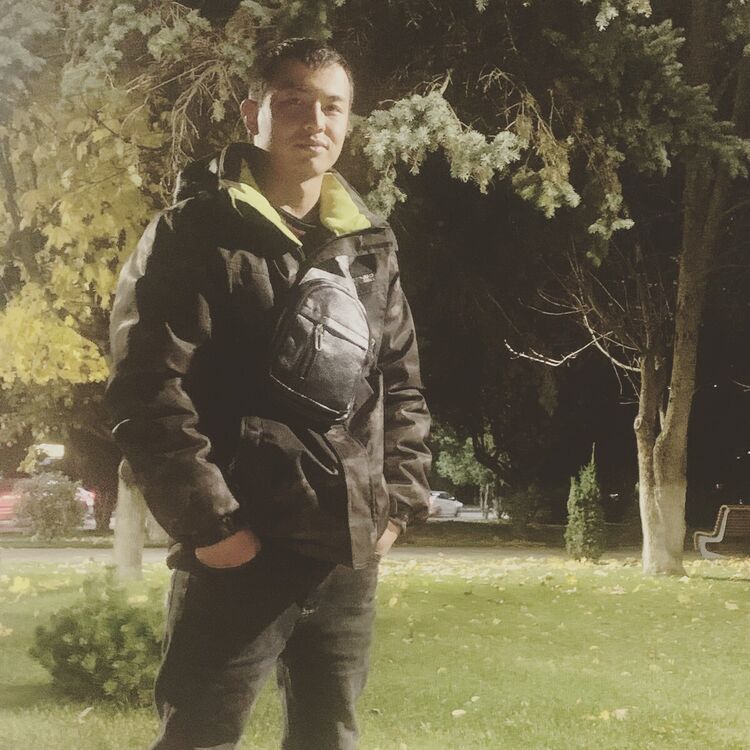  43446291  , 24 ,    