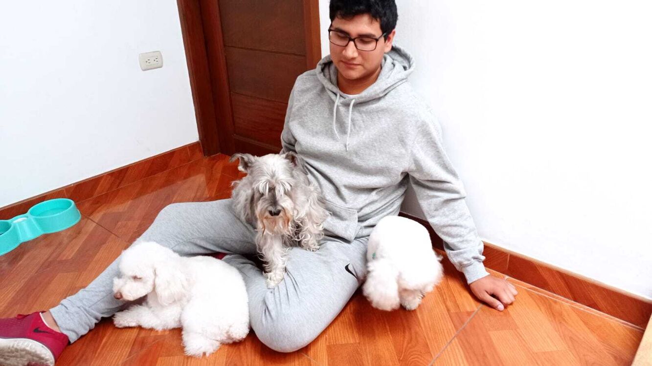 ���������� �� ��������, ���� ����� Alfonso, 25 ���, ������������ ��� ������, ����� � ���������