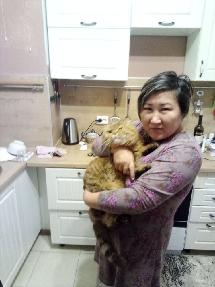 ���� 25744871 ������� �����, 48 ���, ���� ���������� � ������