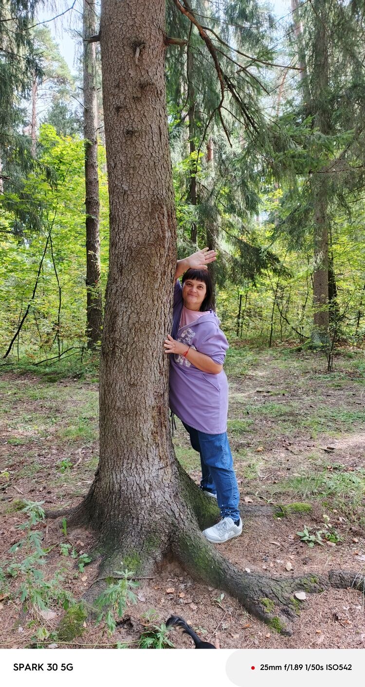 ���������� �����������, ���� ������� ����, 49 ���, ������������ ��� ������, ����� � ���������