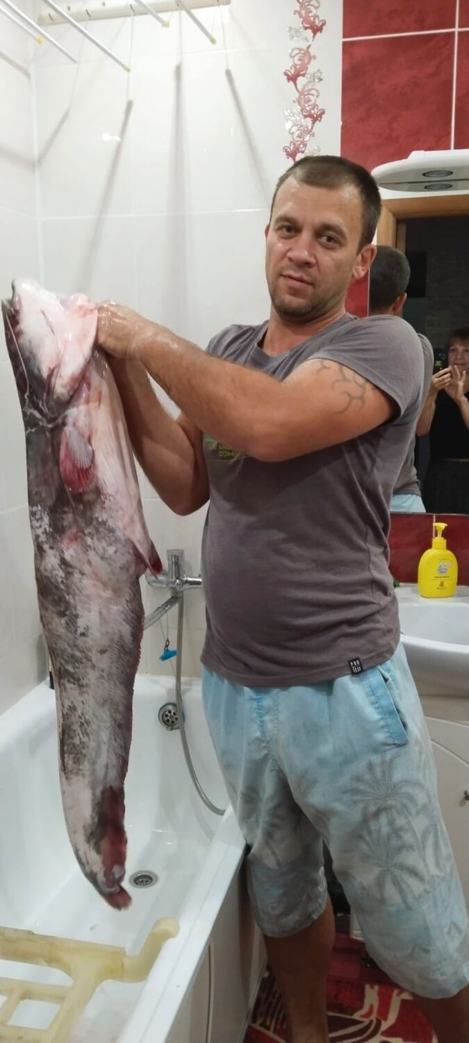 ���������� ����������, ���� ������� ������, 41 ���, ������������ ��� ������, ����� � ���������, c�������� ���������, ���������