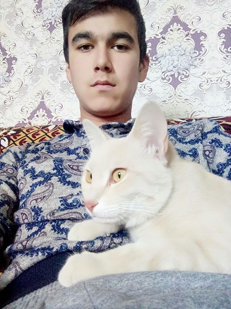  ,   , 28 ,     , c , 