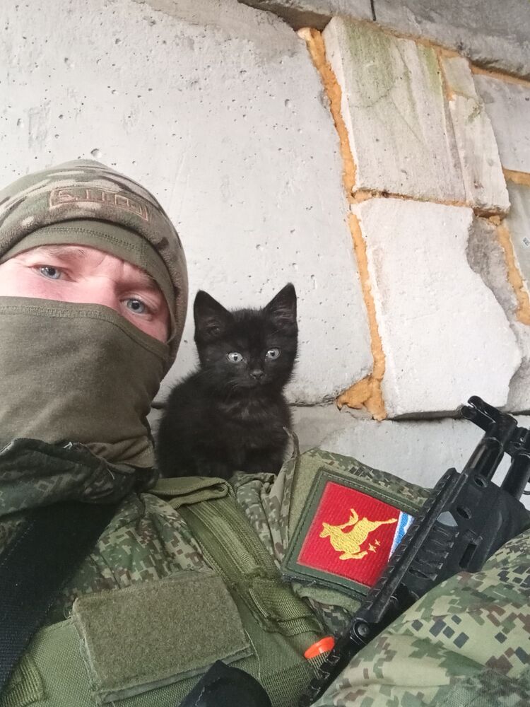  52778381  Nikolay, 38 ,    