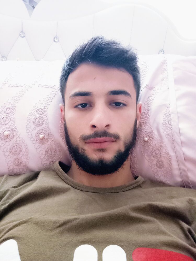  35132751  , 31 ,    