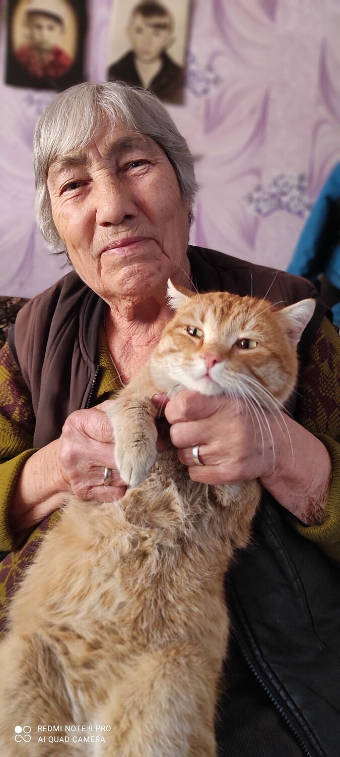 ���� 36281521 ������� �������, 70 ���, ���� ���������� � ������������