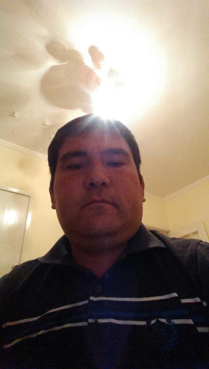 ���� 5033781 ������� ����, 43 ����, ���� ���������� � ��������