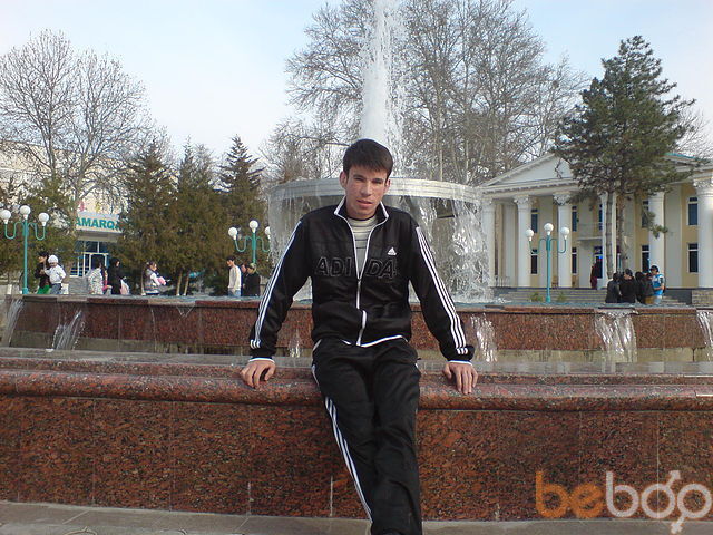  ,   KAVALER, 36 ,     , c 