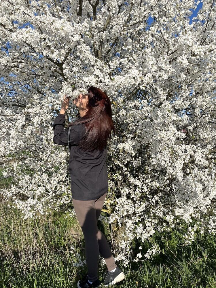 ���� 56278131 ������� �����, 33 ����, ���� ���������� � ����������