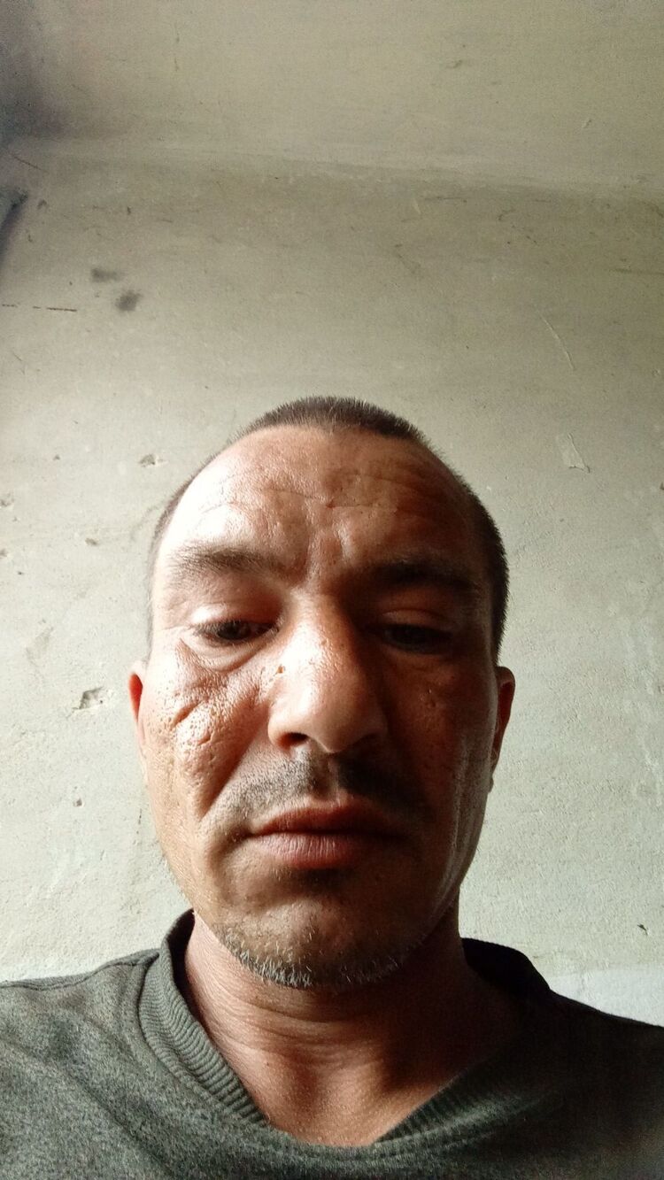  43776101  , 38 ,    