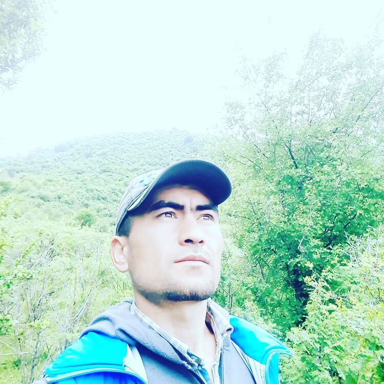 ���� 16728311 ������� ��, 40 ���, ���� ���������� � �������