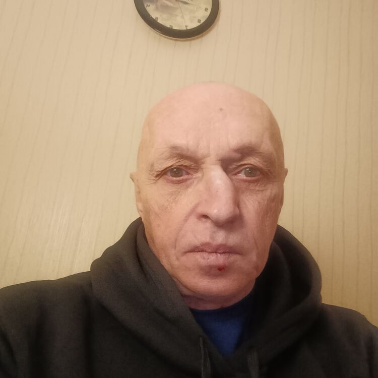 49084761  , 65 ,    