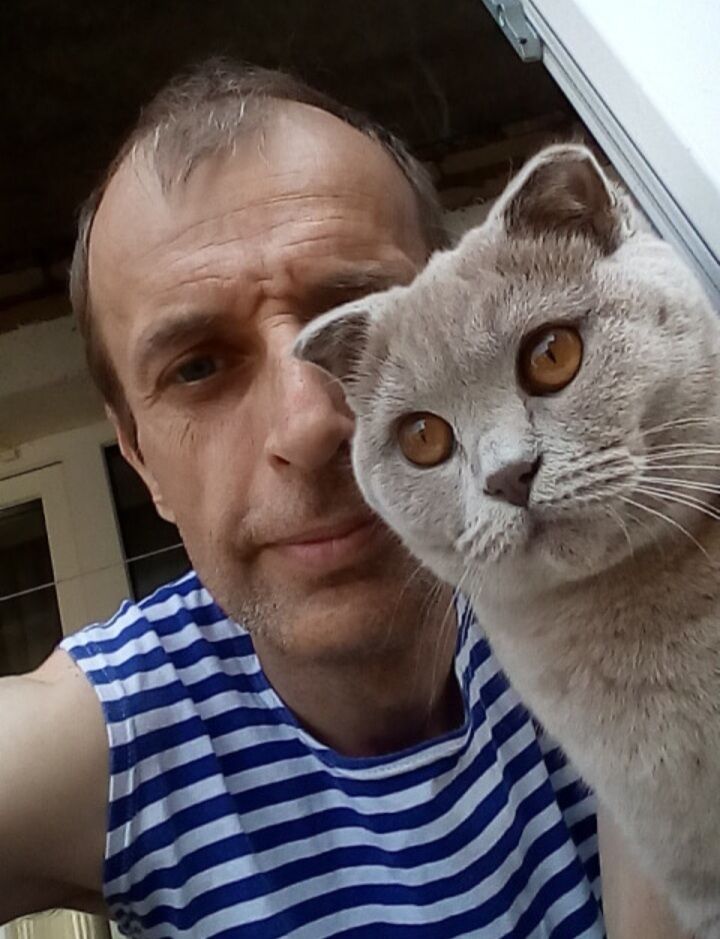 ���� 51352991 ������� �������, 48 ���, ���� ���������� � ��������