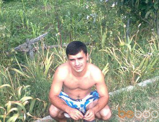 ���������� ������, ���� ������� Davidi, 38 ���, ������������ ��� ������