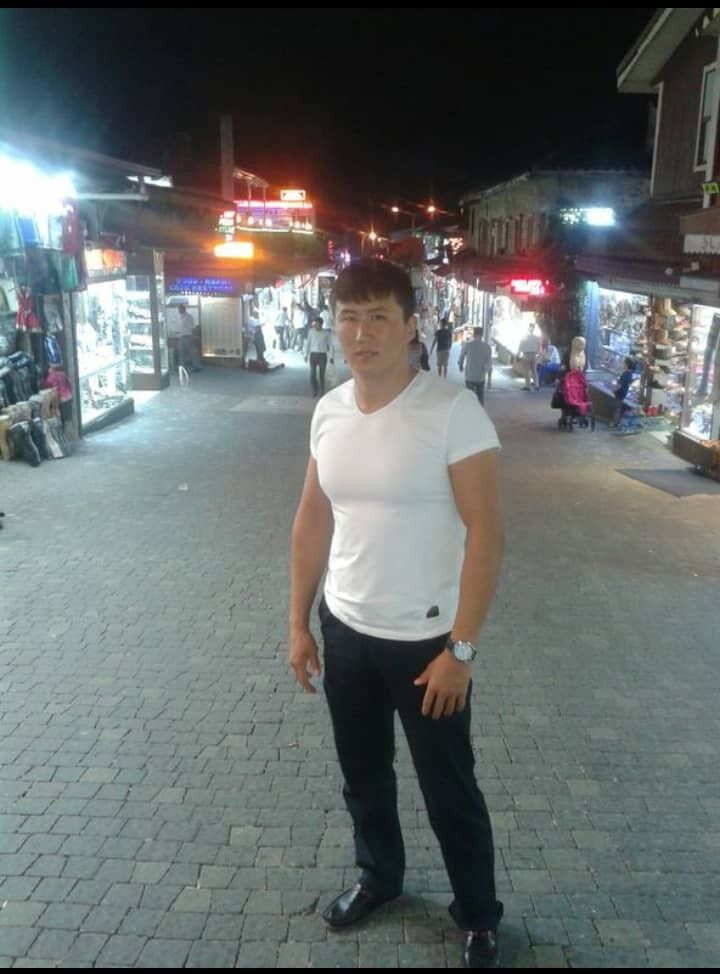  15686431  , 33 ,    