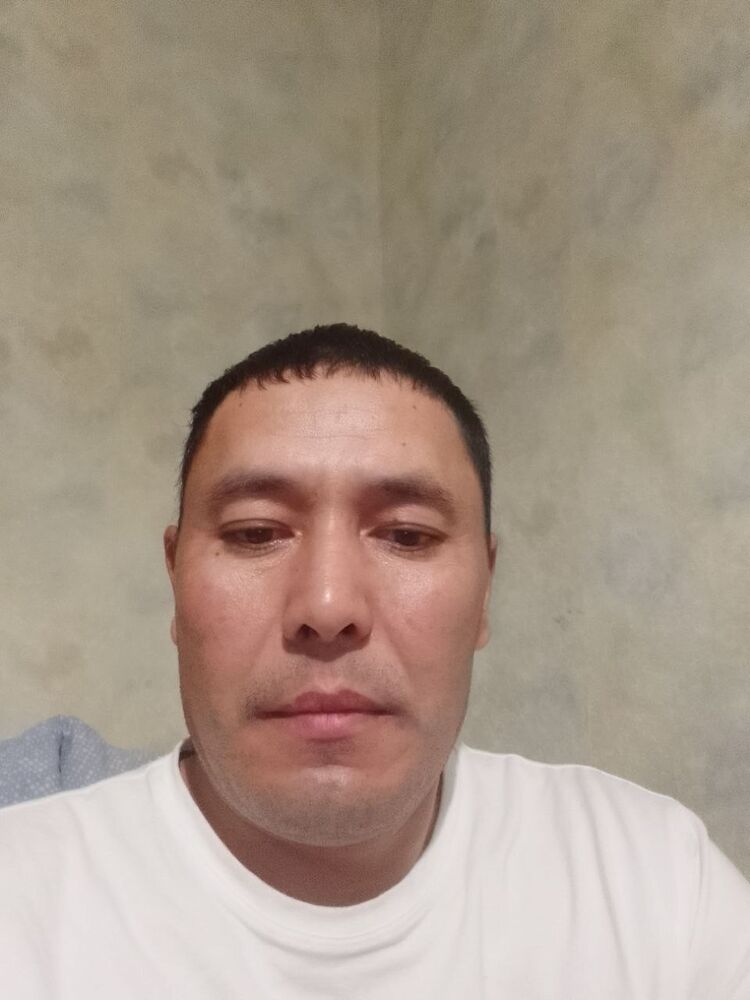  46457761  , 41 ,    