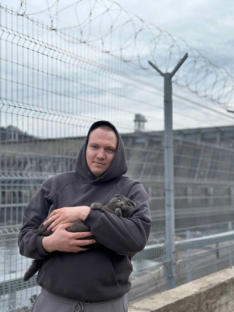 ���� 54938101 ������� �������, 28 ���, ���� ���������� � �����������