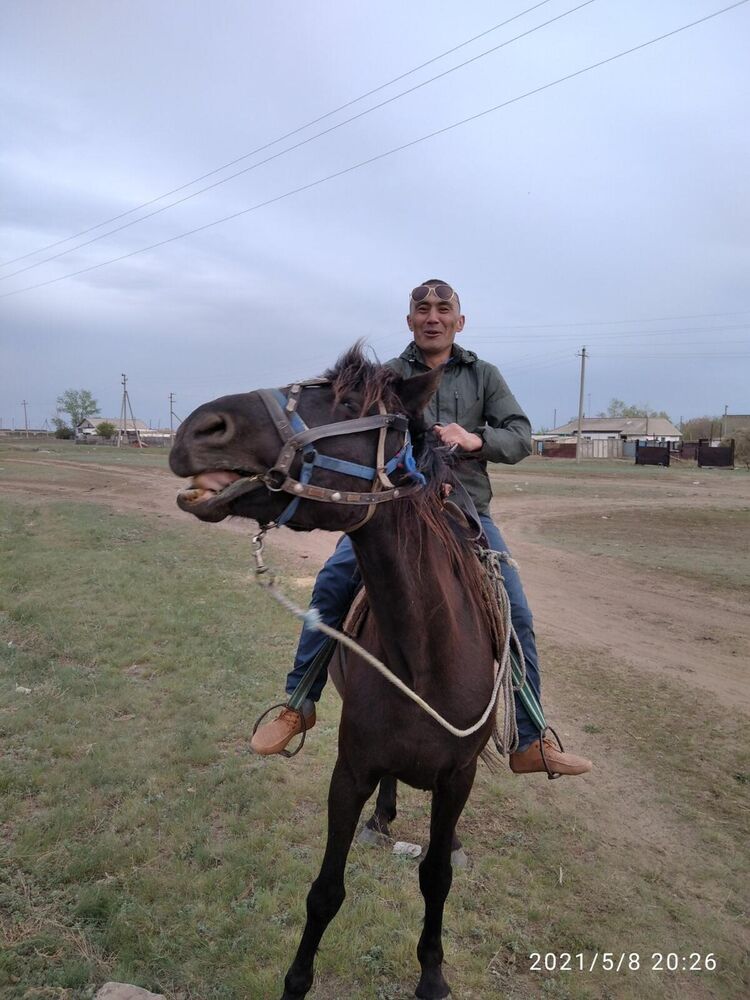 ���� 54753531 ������� ����, 38 ���, ���� ���������� � ��������