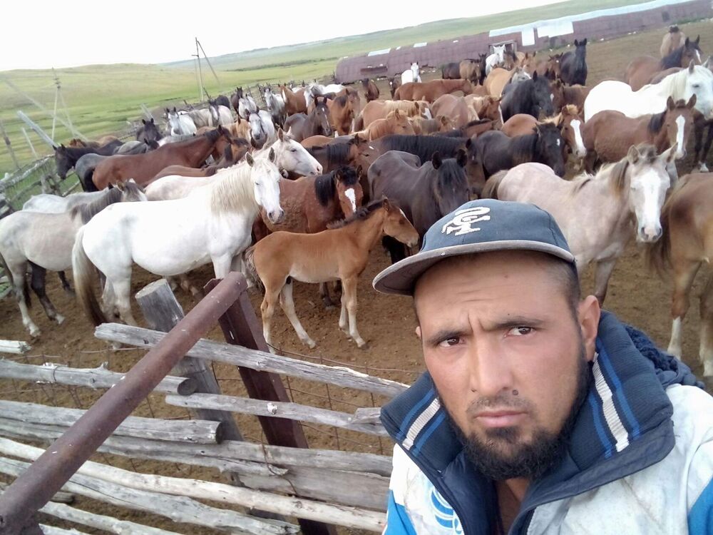 ���������� �����-���������, ���� ������� ��������, 34 ����, ������������ ��� ������, ����� � ���������