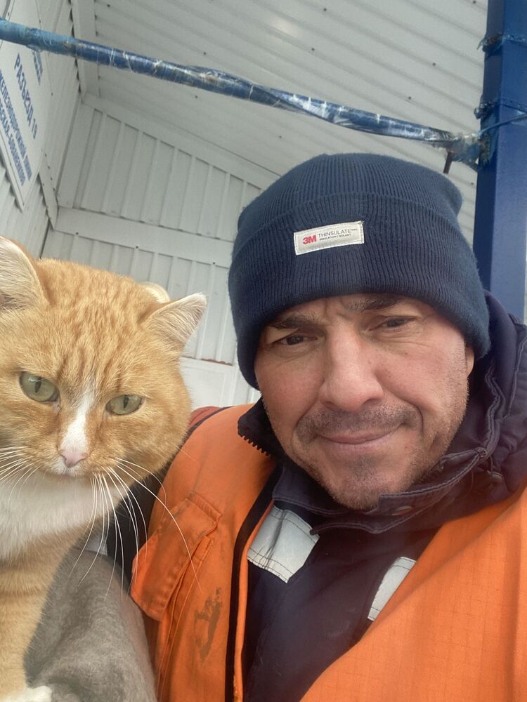 ���������� ���������, ���� ������� �������, 49 ���, ������������ ��� ������, ����� � ���������, c�������� ���������, ���������