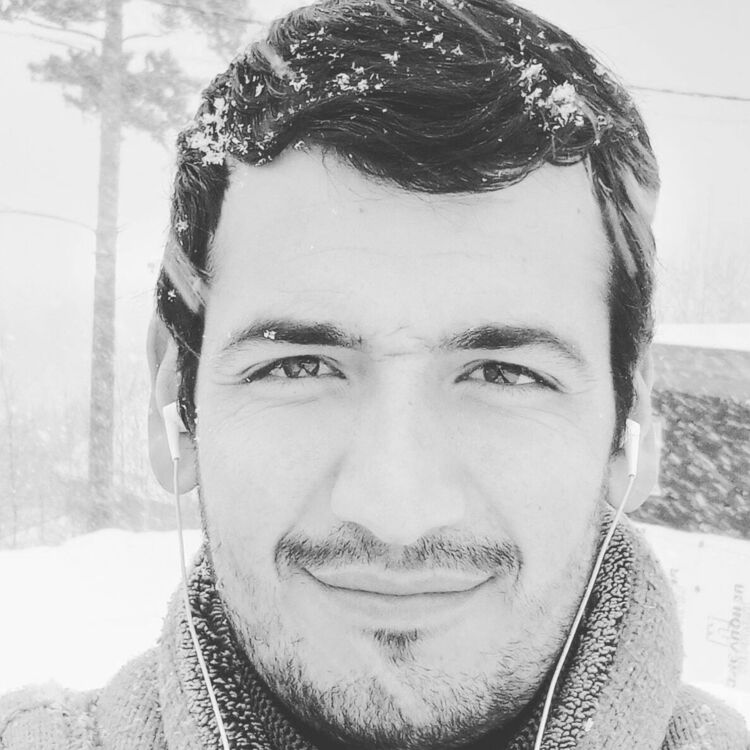 ���� 28599151 ������� ����, 30 ���, ���� ���������� � ��������