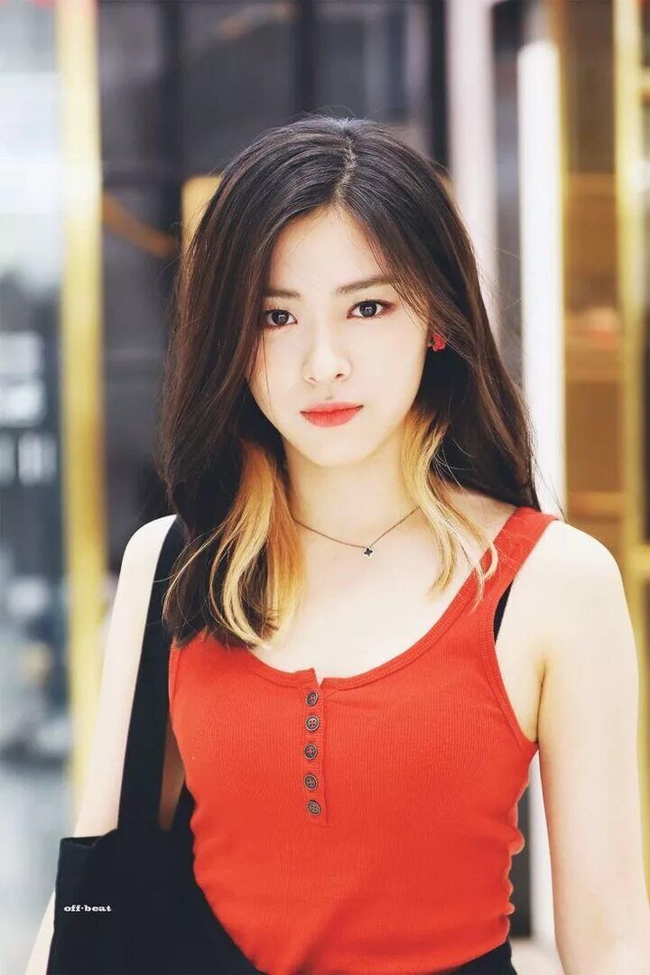  44248891  , 19 ,    -