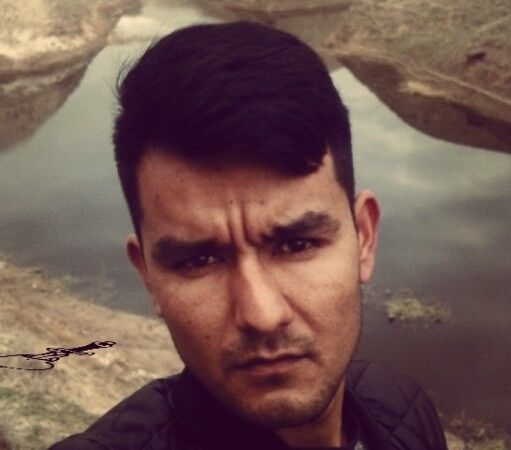 ���� 12600241 ������� ��������, 35 ���, ���� ���������� � ��������