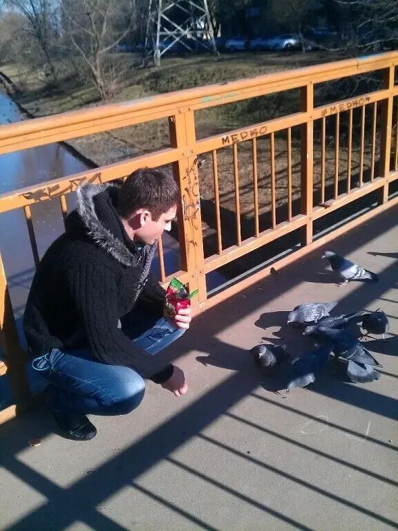 ���������� ������-��-����, ���� ������� ��������, 36 ���, ������������ ��� ������, ����� � ���������, c�������� ���������