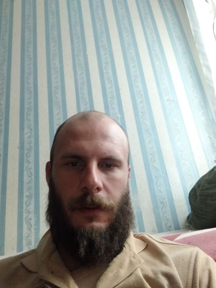  31598541  , 36 ,    -