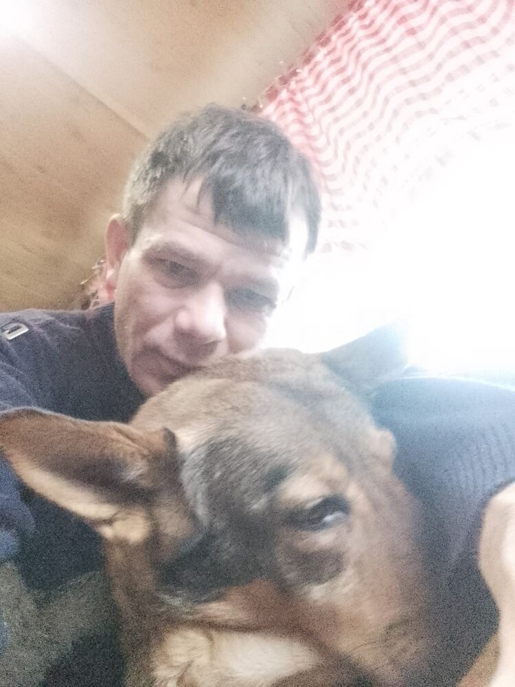  49385051  , 37 ,    -