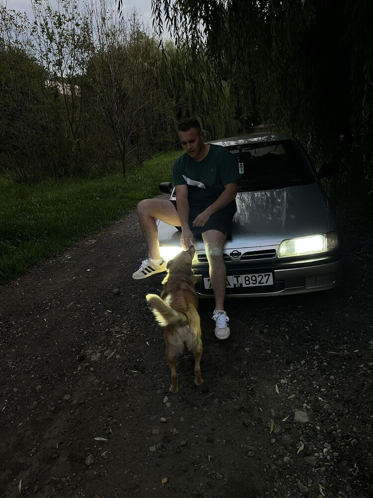 ���� 37282931 ����� �����, 25 ���, ���� ���������� � ������