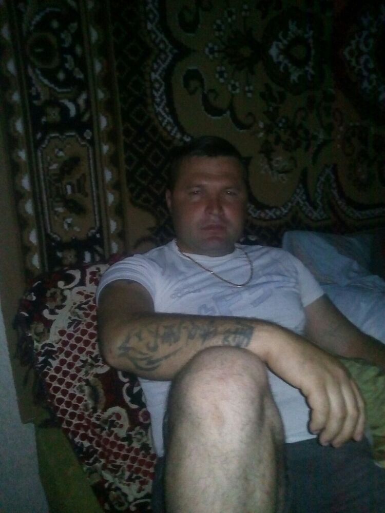  33553081  , 36 ,    