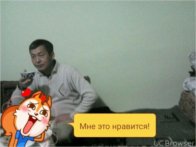  8621351  , 57 ,    