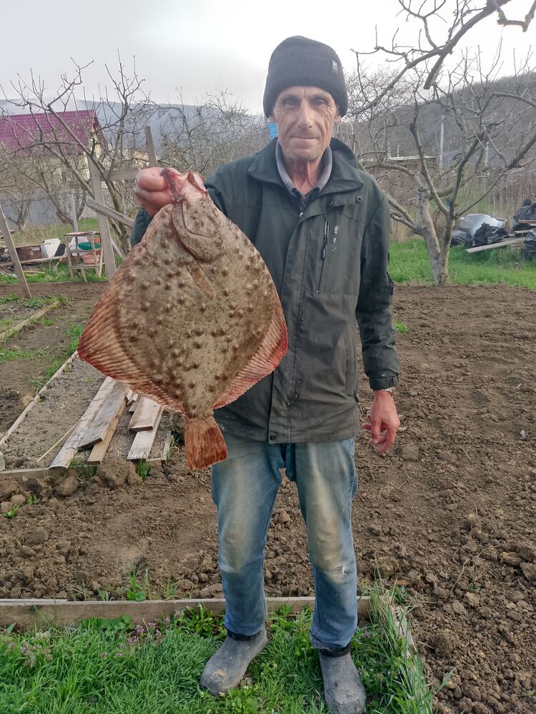  52742971  Pavel, 54 ,    