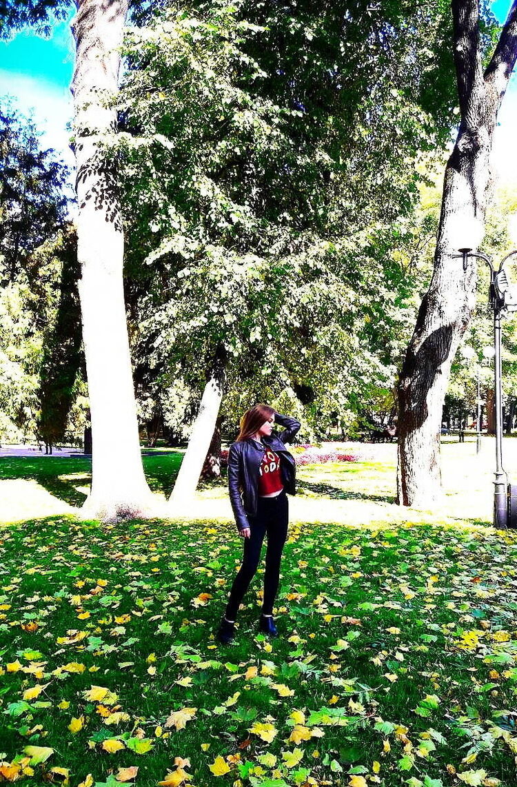  ,   , 24 ,  