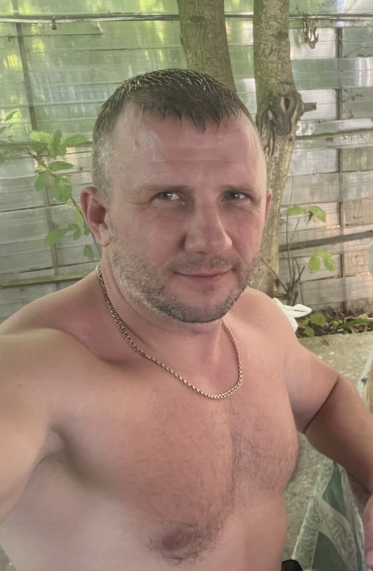  53336941  , 47 ,    