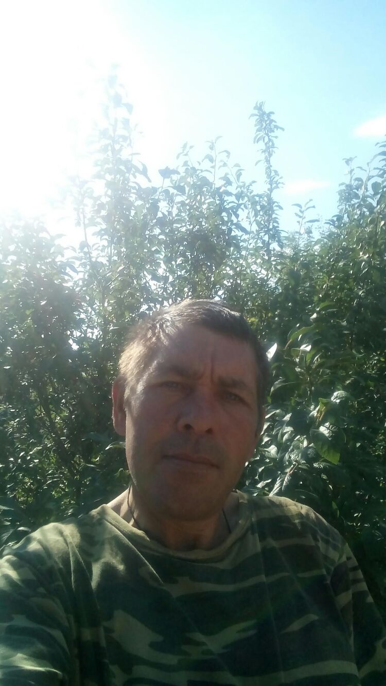  23873571  , 48 ,    