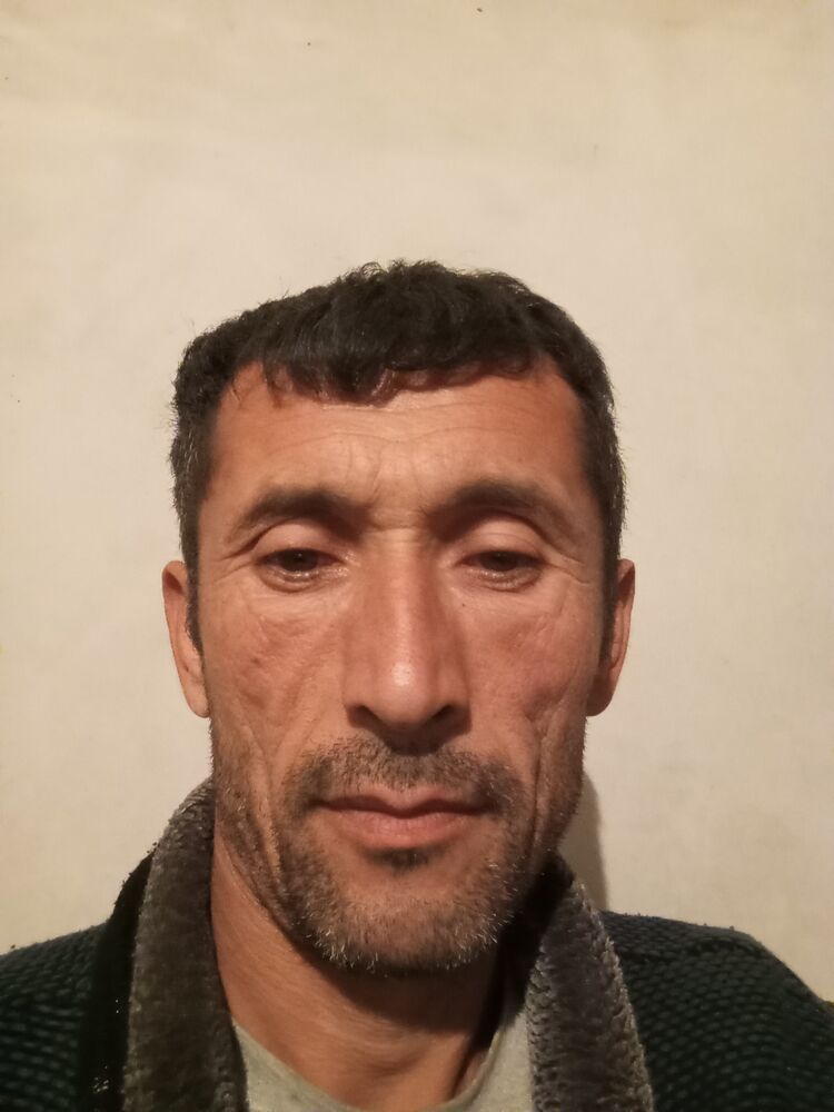  46047711  , 41 ,    