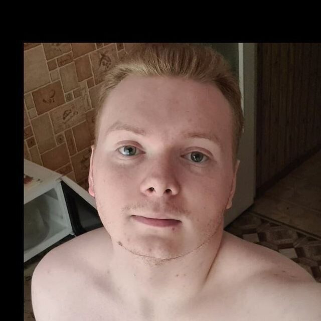  31185881  , 24 ,    