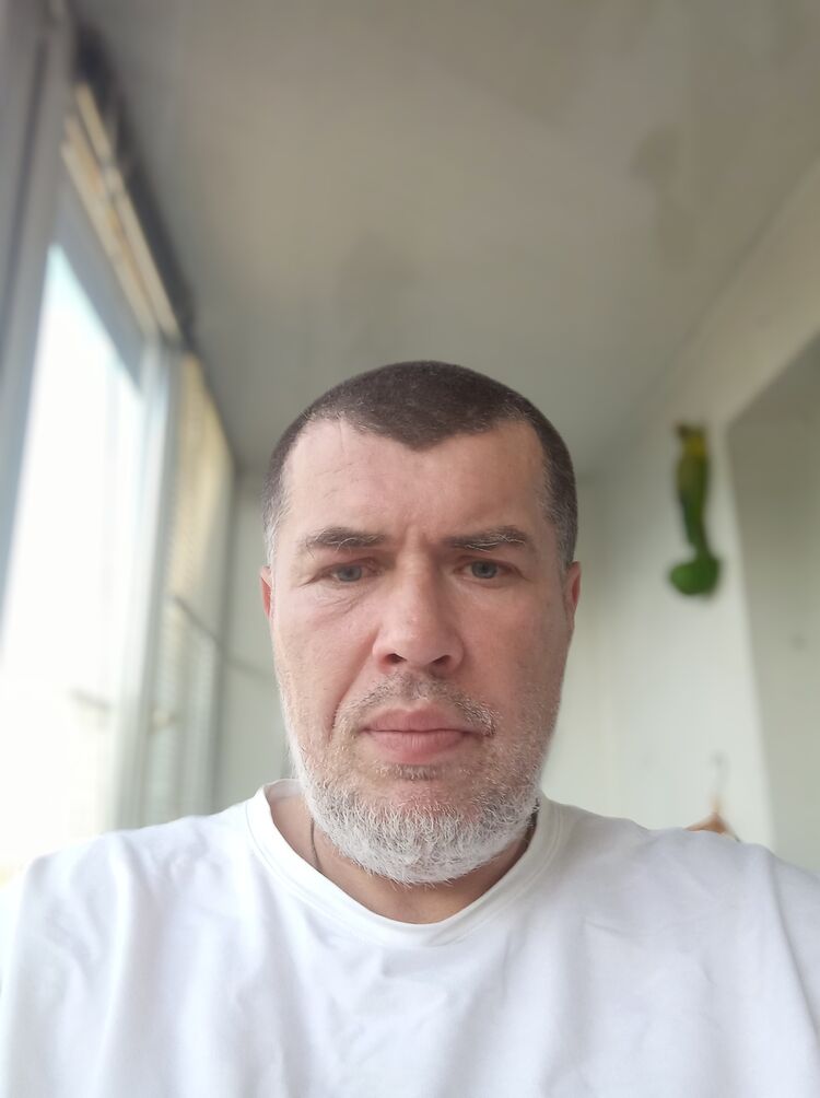  36939921  , 49 ,    