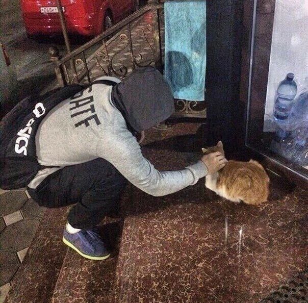 ���������� ���������, ���� ������� �����, 27 ���, ������������ ��� ������, ����� � ���������