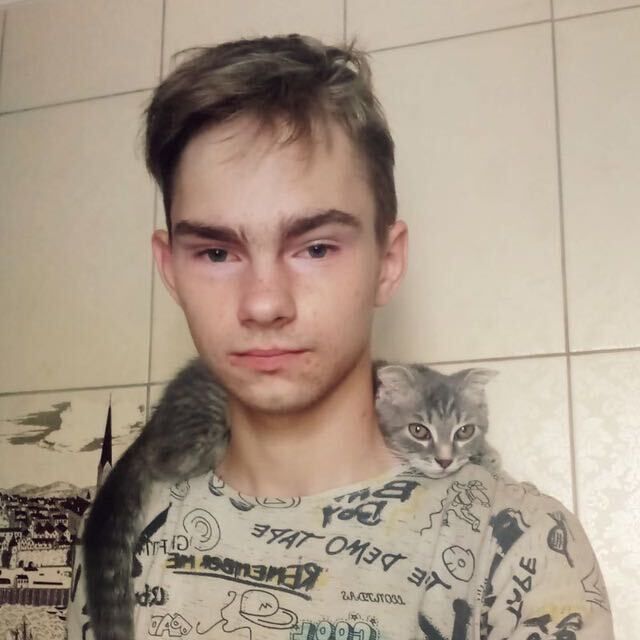  50324261  , 21 ,    