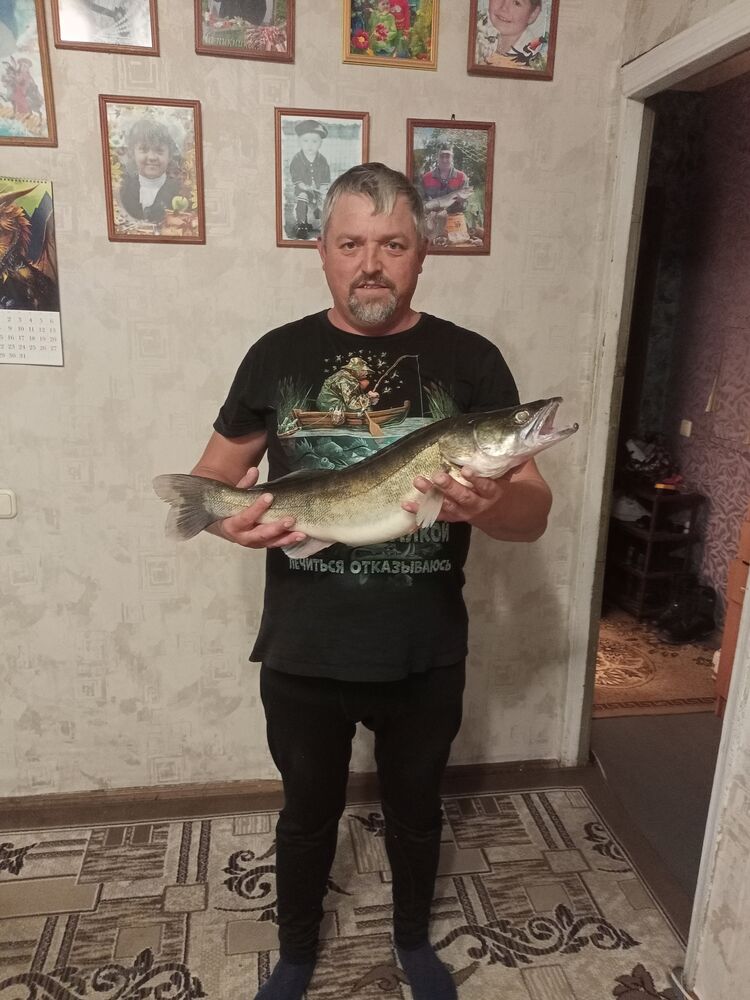  51500851  , 44 ,    