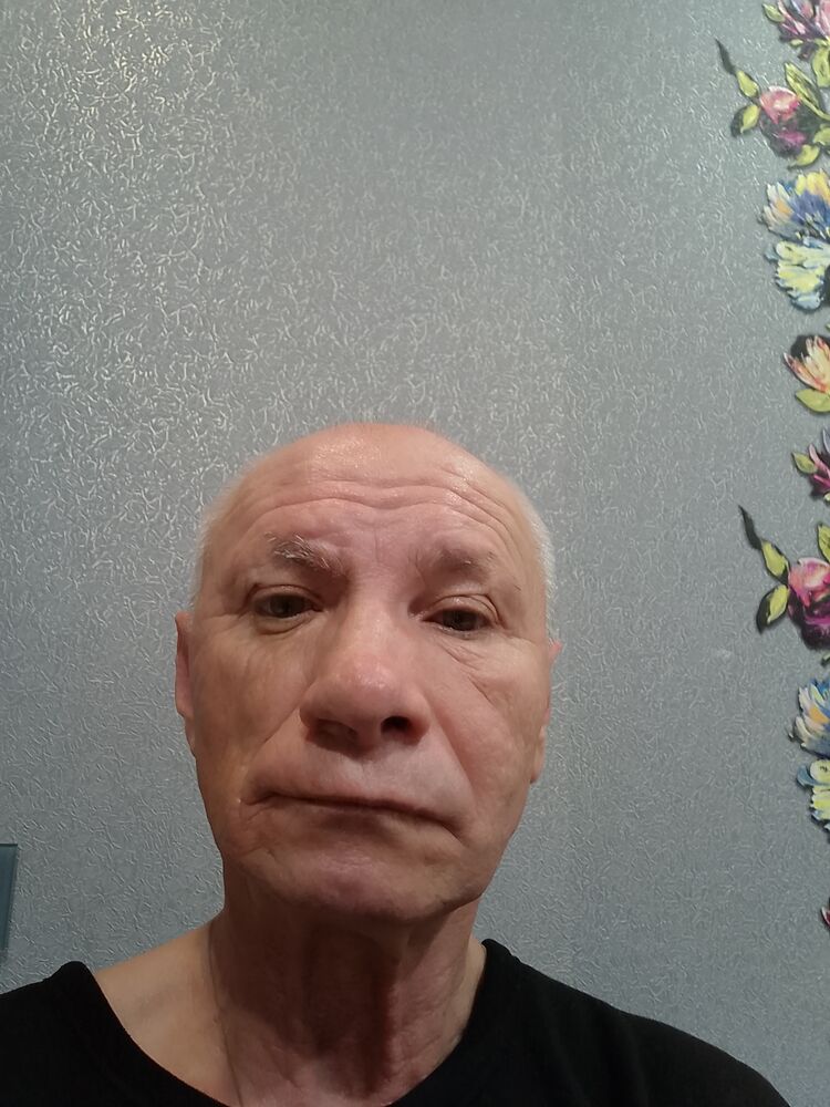  48113701  , 66 ,    