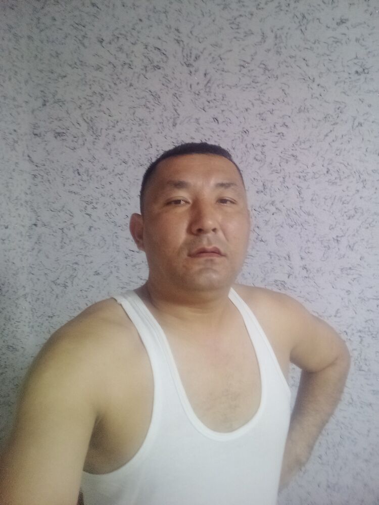  50890561  , 36 ,    
