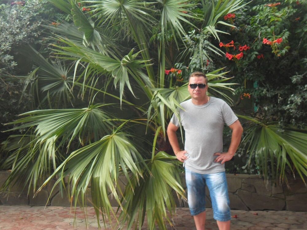 ,   , 46 ,   