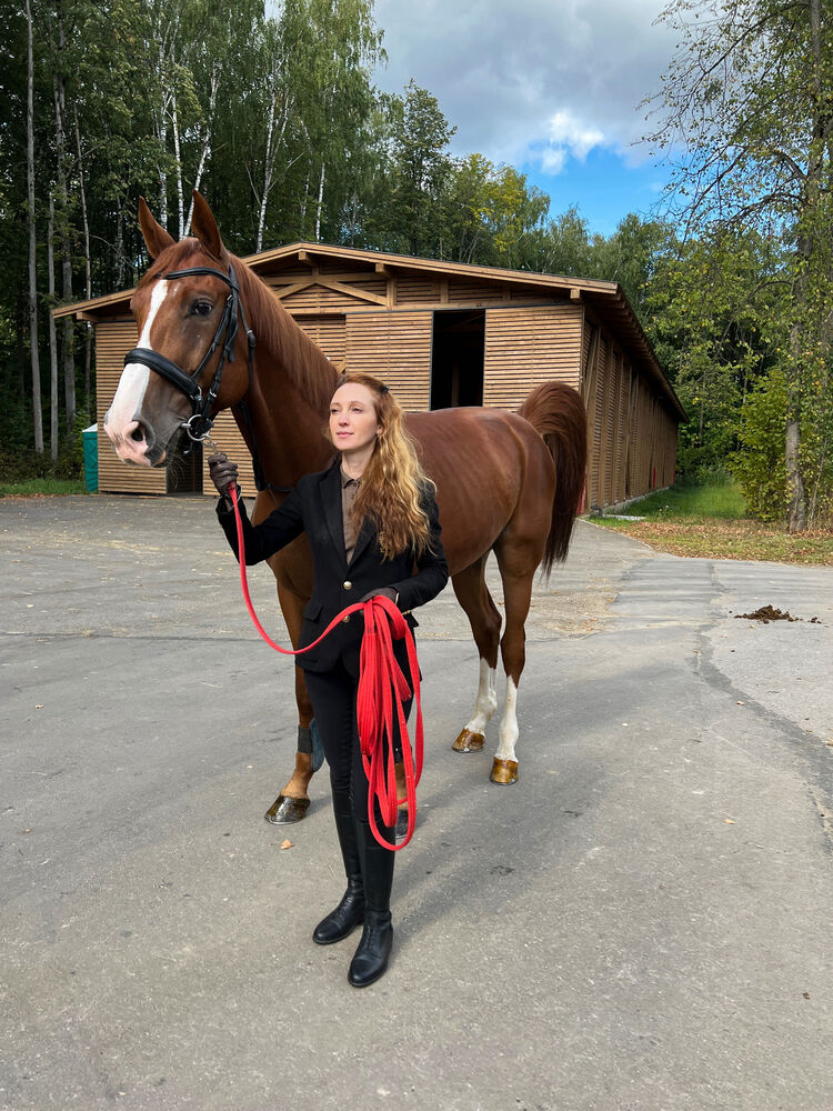 ���������� ������, ���� ������� ������, 46 ���, ������������ ��� ������, ����� � ���������, c�������� ���������