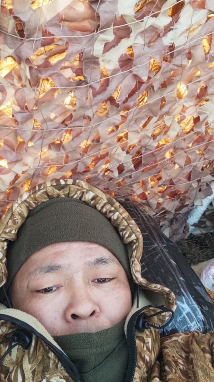  31060831  , 45 ,    