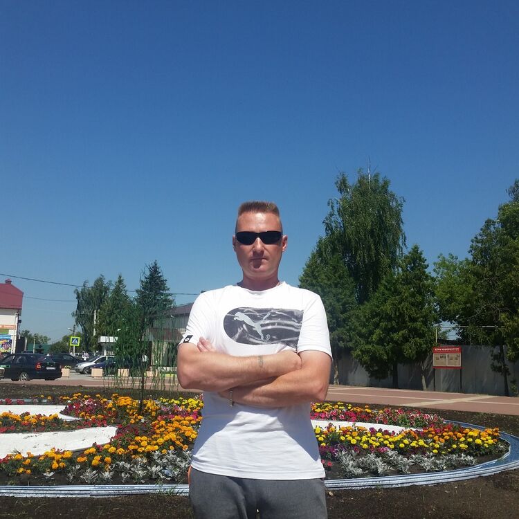 ���� 8172481 ������� ����, 50 ���, ���� ���������� � �������