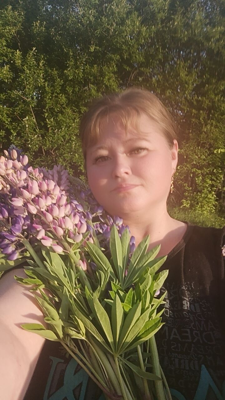  ,   , 41 ,   ,   , 