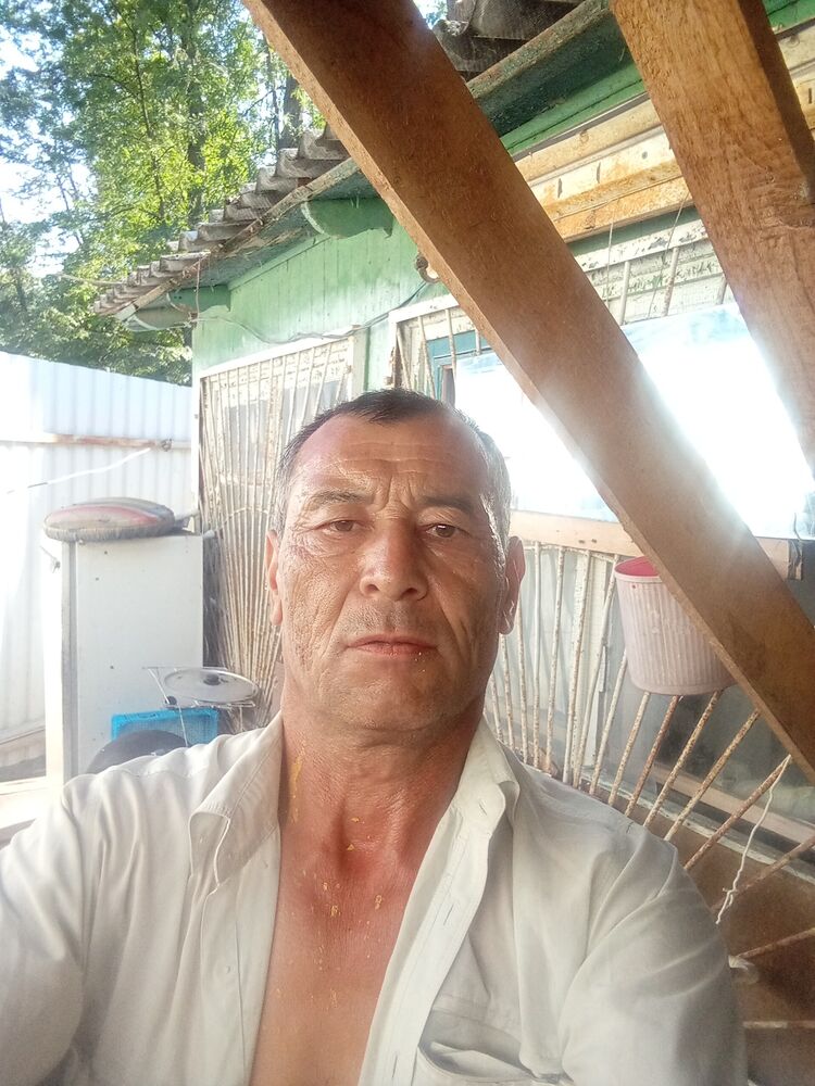 ���� 37631251 ������� ���������, 55 ���, ���� ���������� � ������